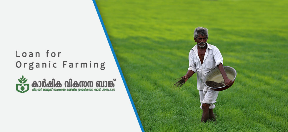 Peermedu Agri Development Bank ldt No. I.273 