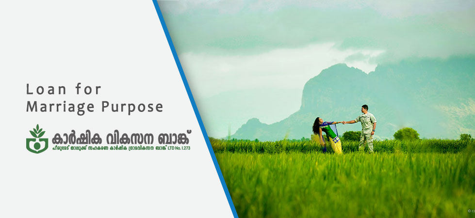 Peermedu Agri Development Bank ldt No. I.273 